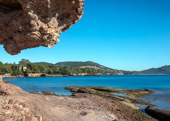 Climatise Proche Plage, Commerces Et Gare Avec Balcon, Parking Et Wifi - Fr-1-466a-5 شقة *